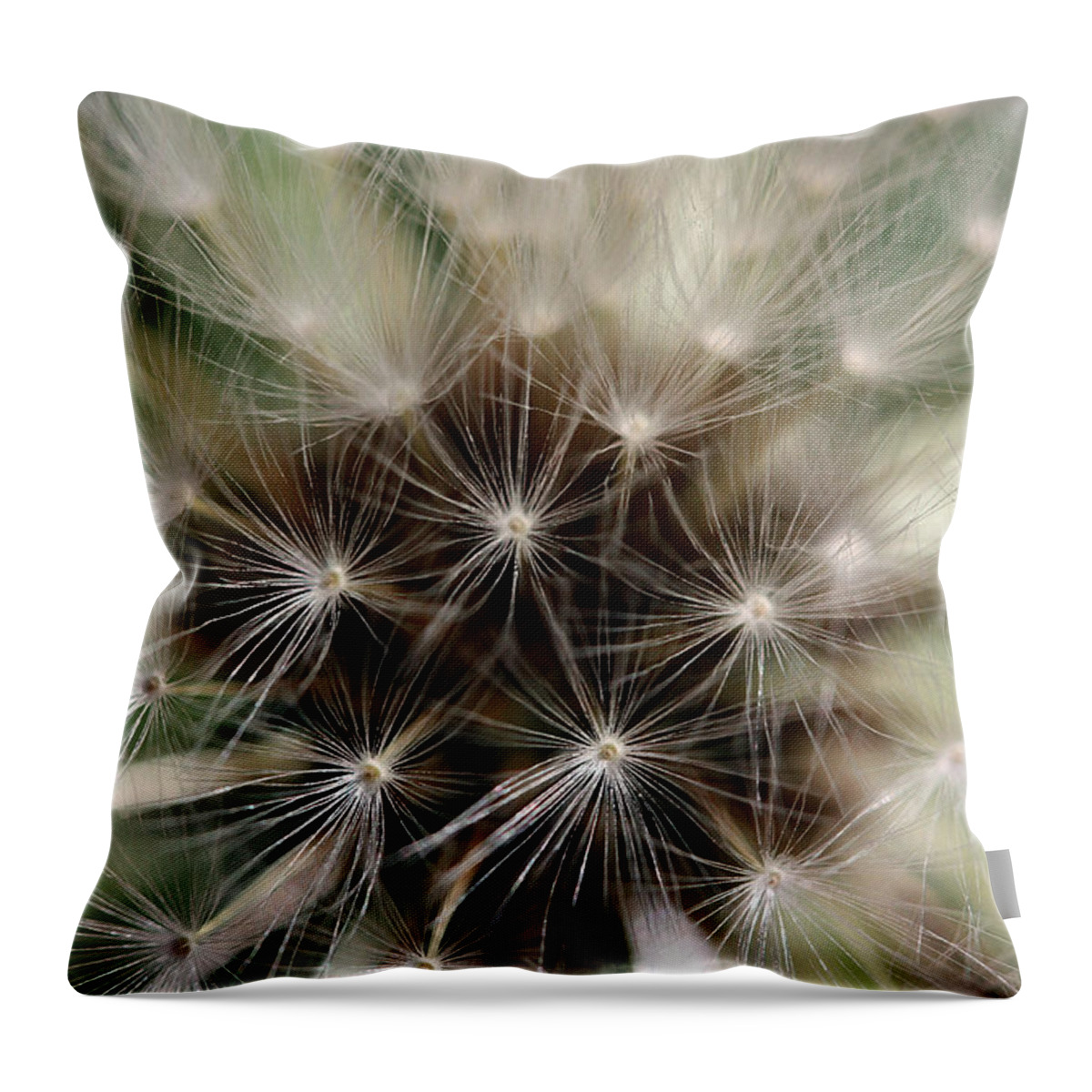 Dandelion Throw Pillow featuring the photograph Soft by Mary Haber
