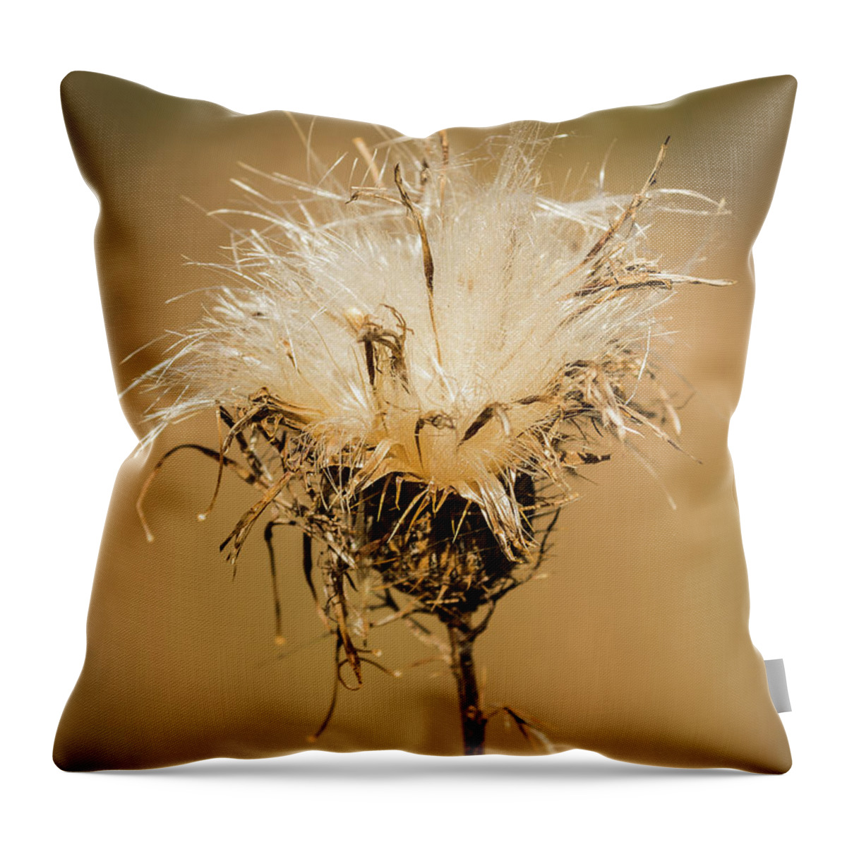 Nature Throw Pillow featuring the photograph Softness Revealed by John Benedict