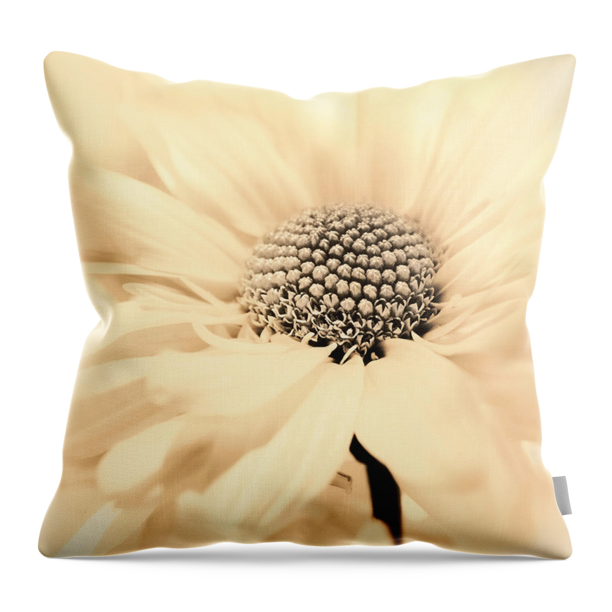 Flower Throw Pillow featuring the photograph Soiree in Creamy Yellow by Darlene Kwiatkowski