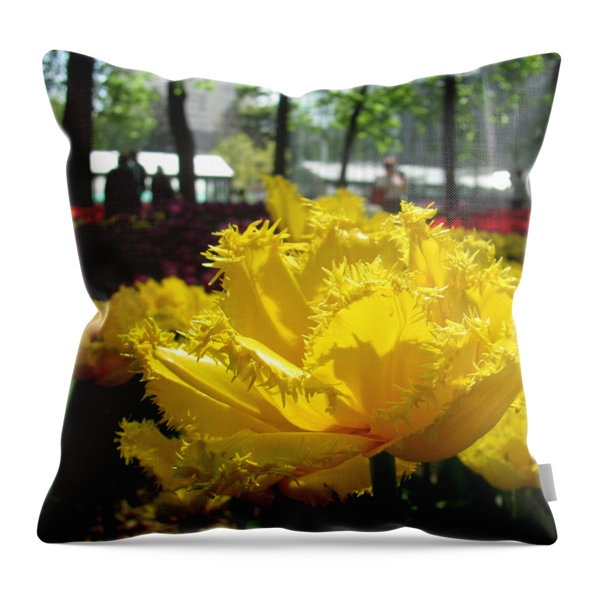 Flowers Throw Pillow featuring the photograph Solar Tulip by Elena Saveleva