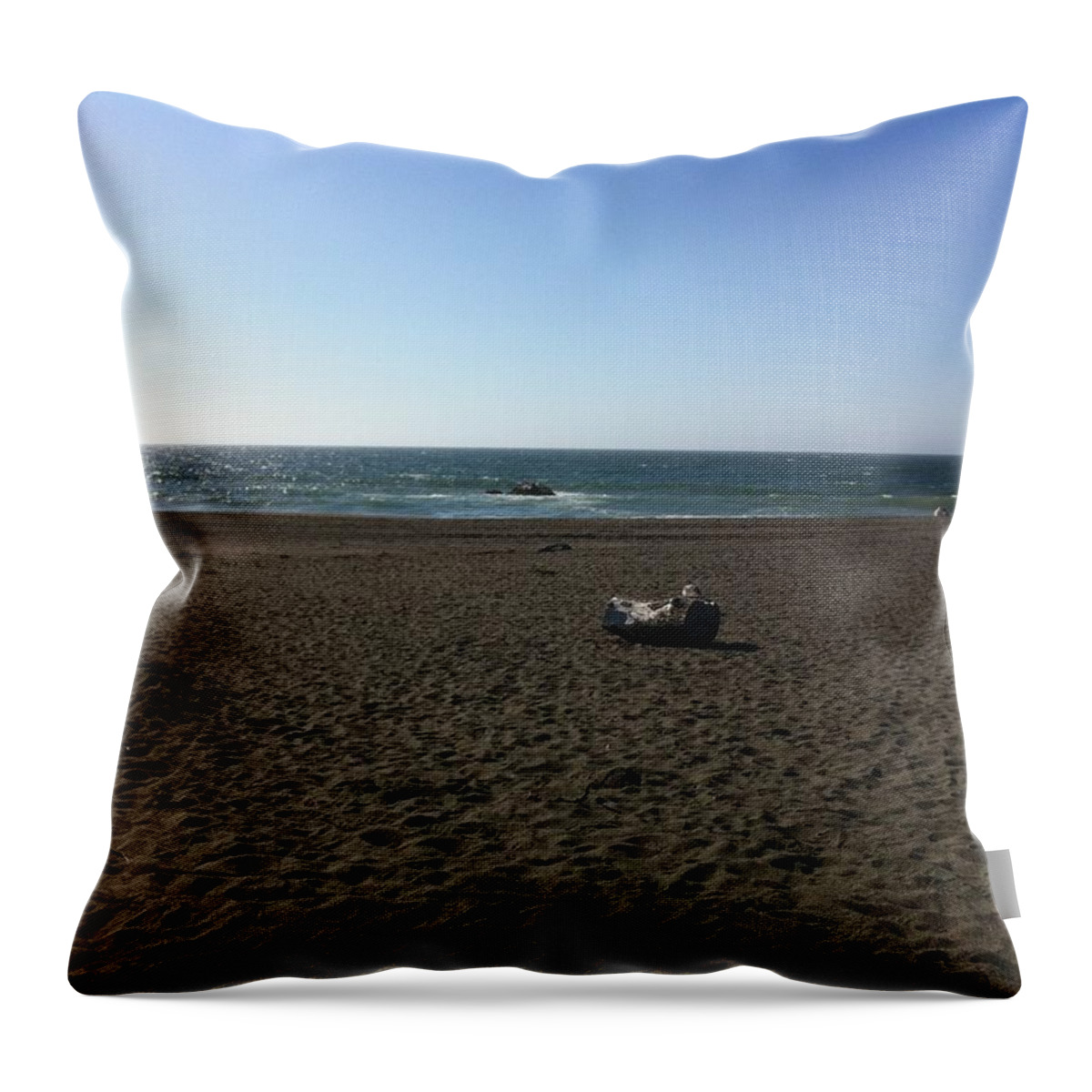Landscape Throw Pillow featuring the photograph Solitary Log by Zach Lyon