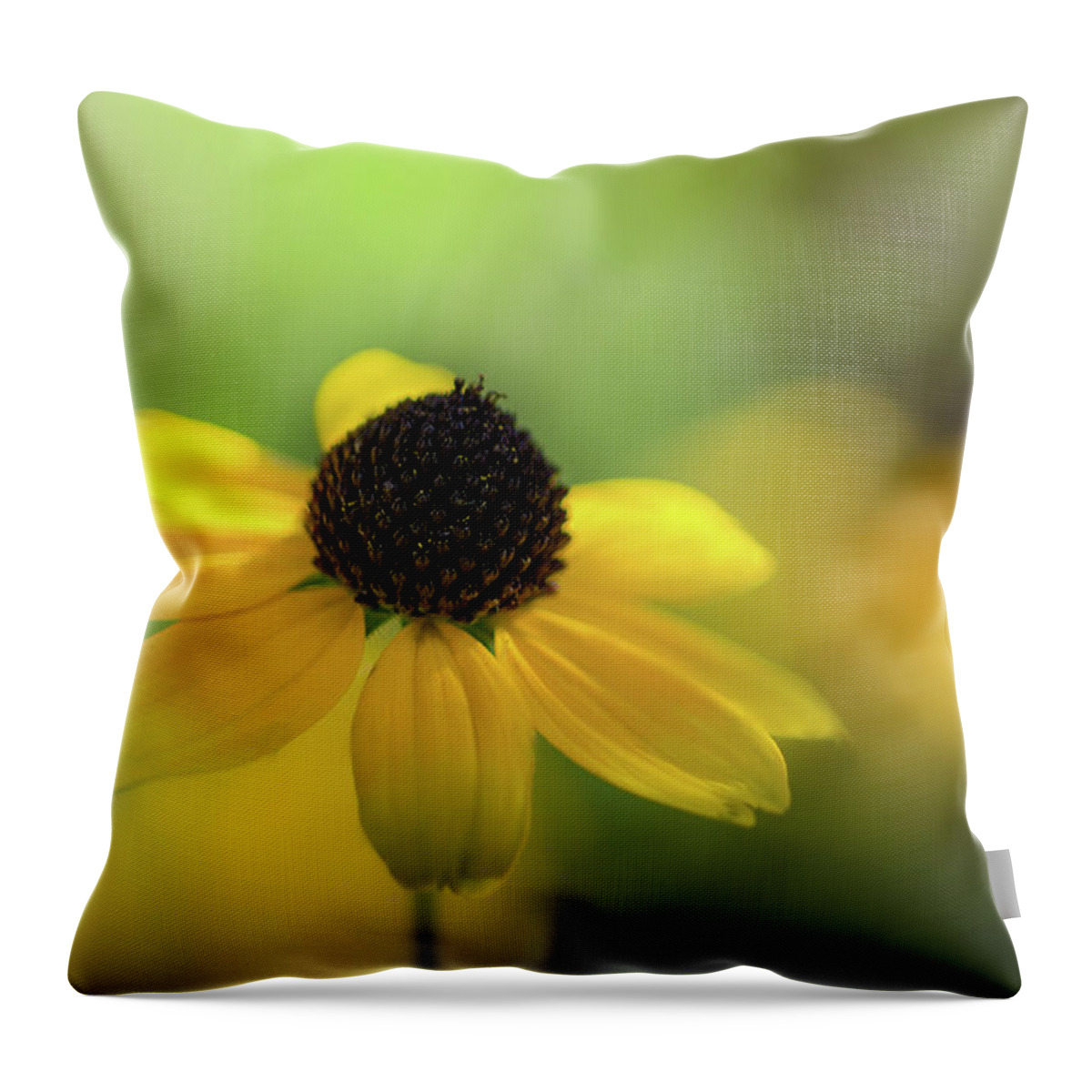 Autumn Throw Pillow featuring the photograph Solitary Suzy by Peter Scott