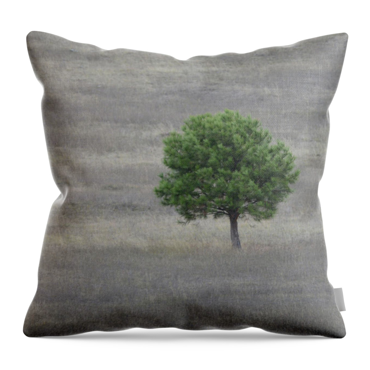 Solitary Throw Pillow featuring the photograph Solitary Tree by Whispering Peaks Photography