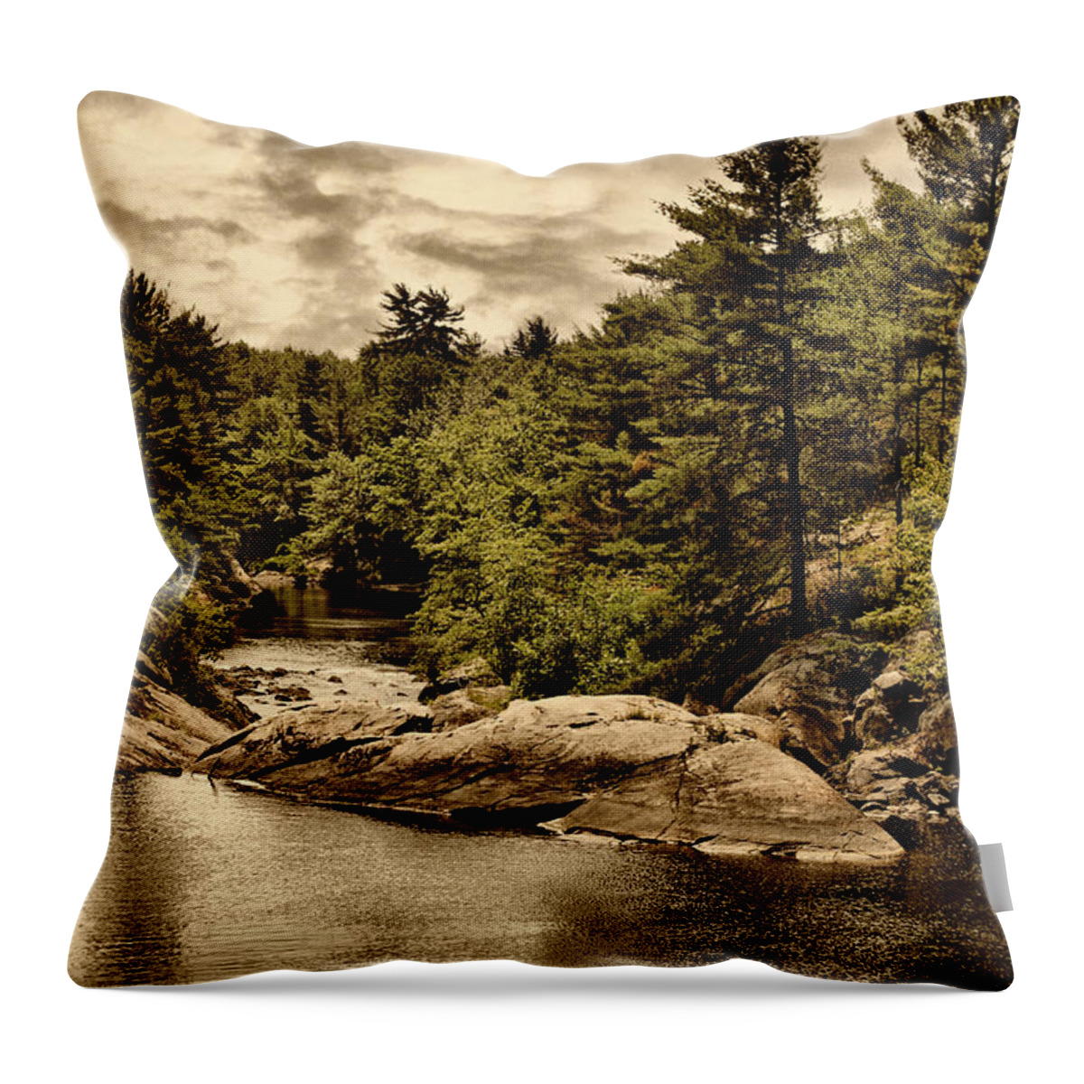 River Throw Pillow featuring the digital art Solitary Wilderness by JGracey Stinson