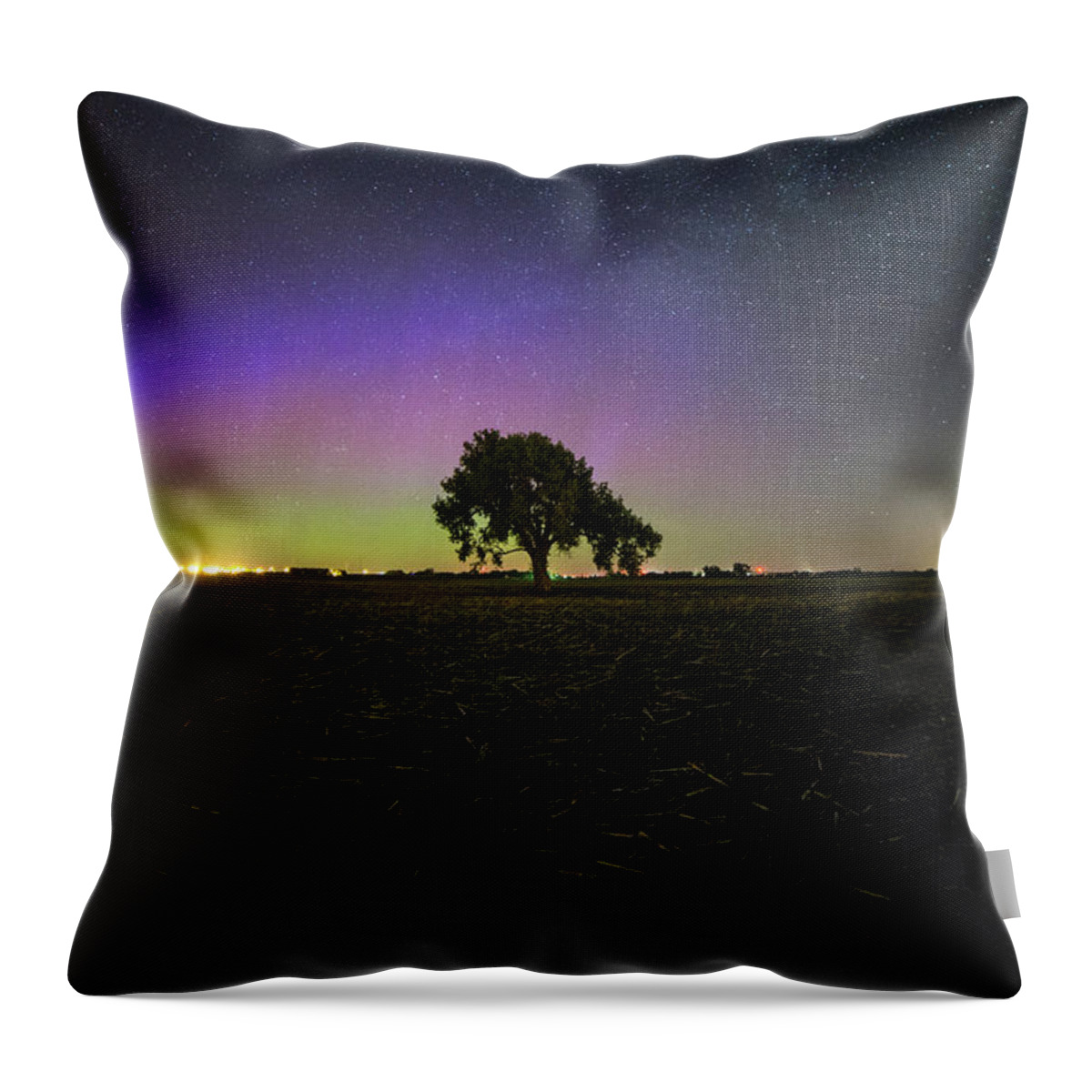 Beauty Throw Pillow featuring the photograph Solitude by Aaron J Groen