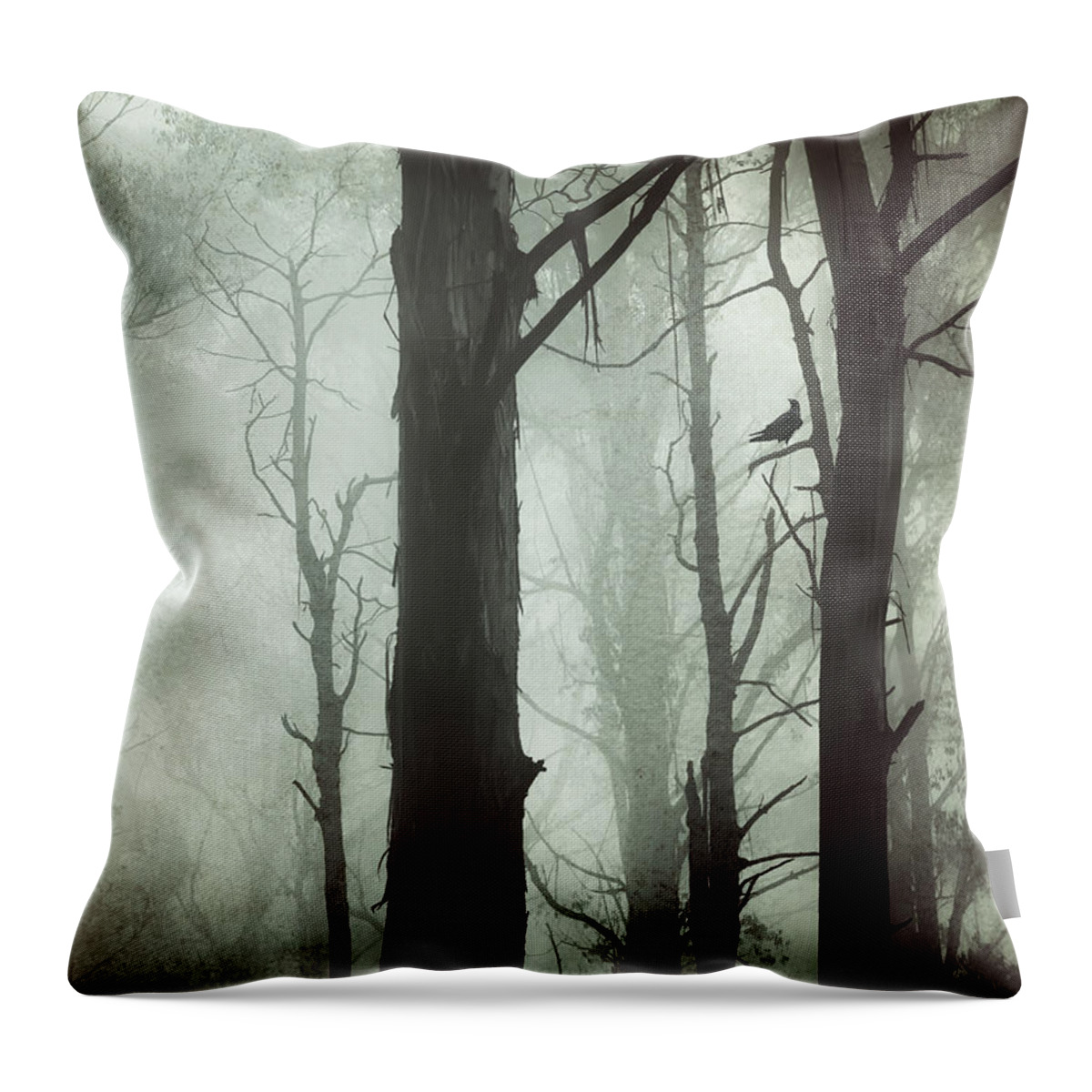 Fog Throw Pillow featuring the photograph Solitude by Amy Weiss