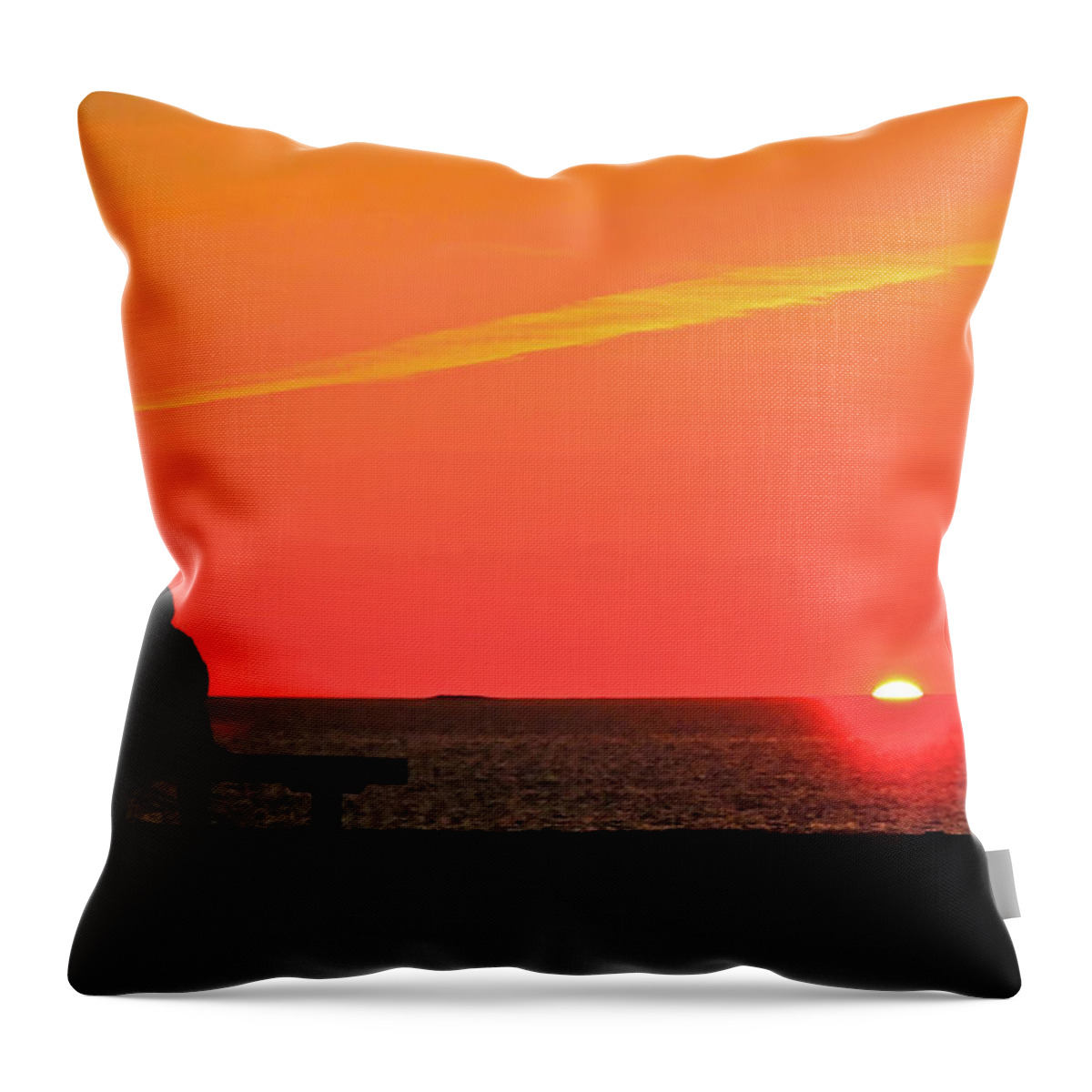 Pemaquid Point Lighthouse Throw Pillow featuring the photograph Solitude at Sunrise by Don Mercer