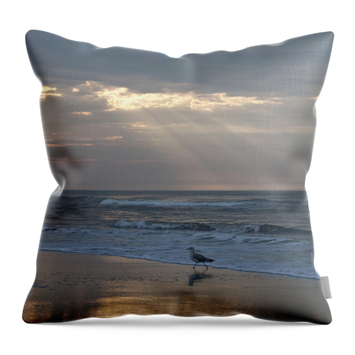 Solitude Throw Pillow featuring the photograph Solitude by Bill Cannon