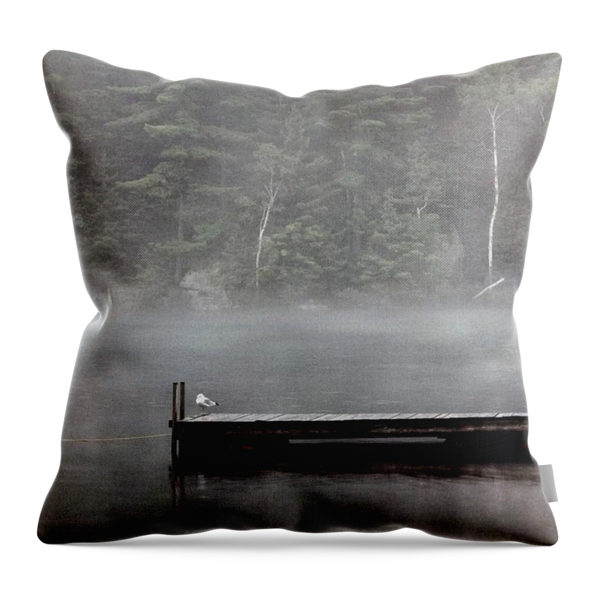 Raft Throw Pillow featuring the photograph Solitude by DArcy Evans