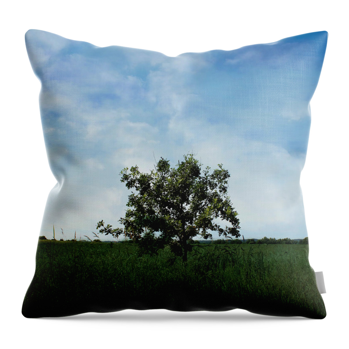 Simplicity Throw Pillow featuring the photograph Solitude by Inspired Arts