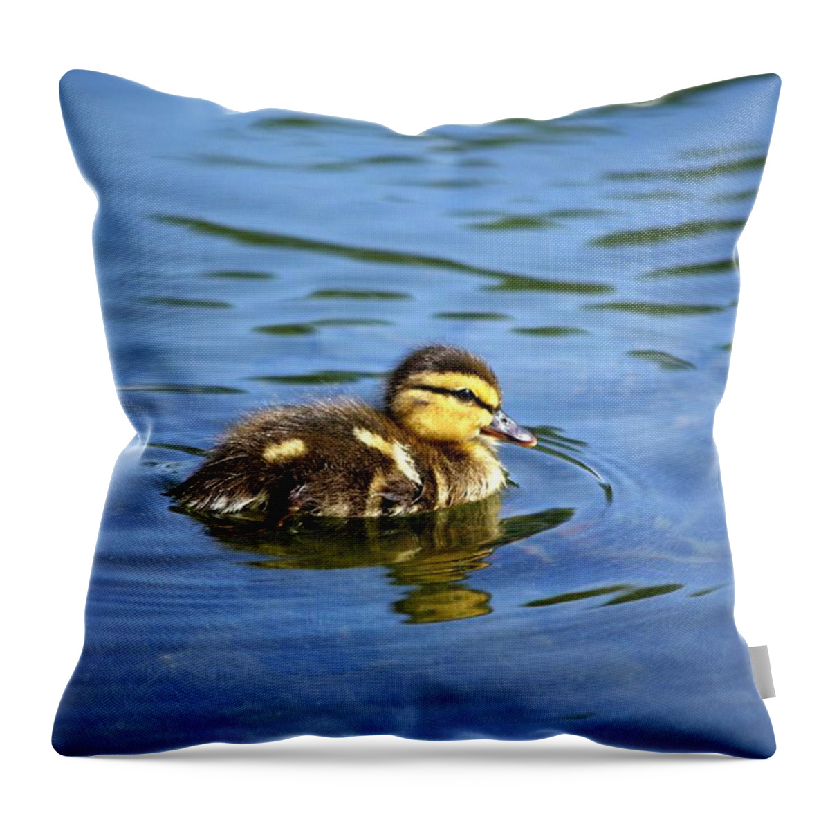 Baby Duck Throw Pillow featuring the photograph Solo by Linda Mishler