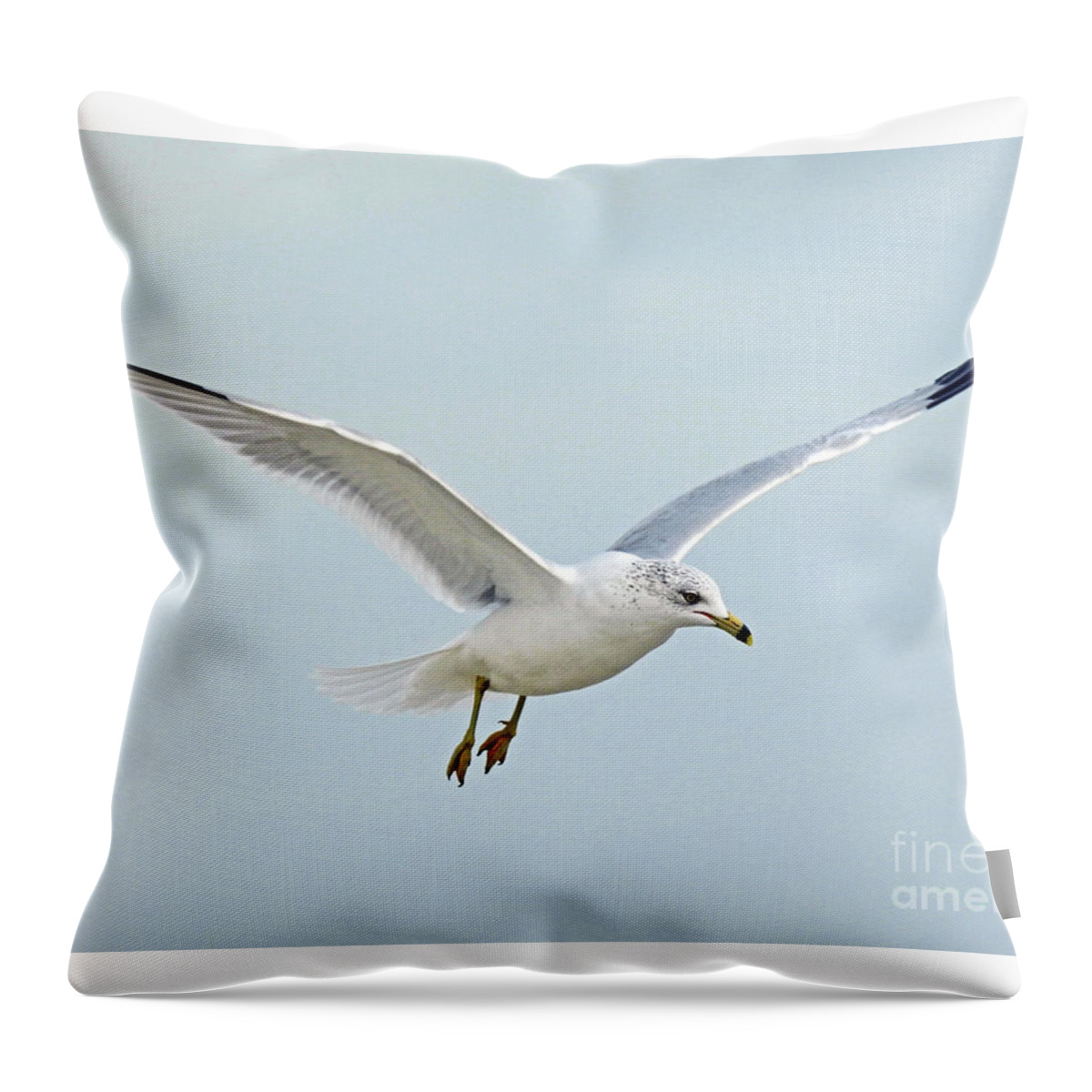 Sea Gulls Throw Pillow featuring the photograph Soloist by Jan Gelders