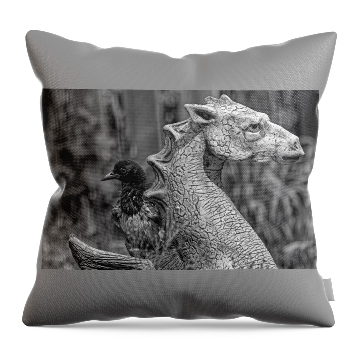 Magpie Throw Pillow featuring the photograph Some day I... by Alana Thrower