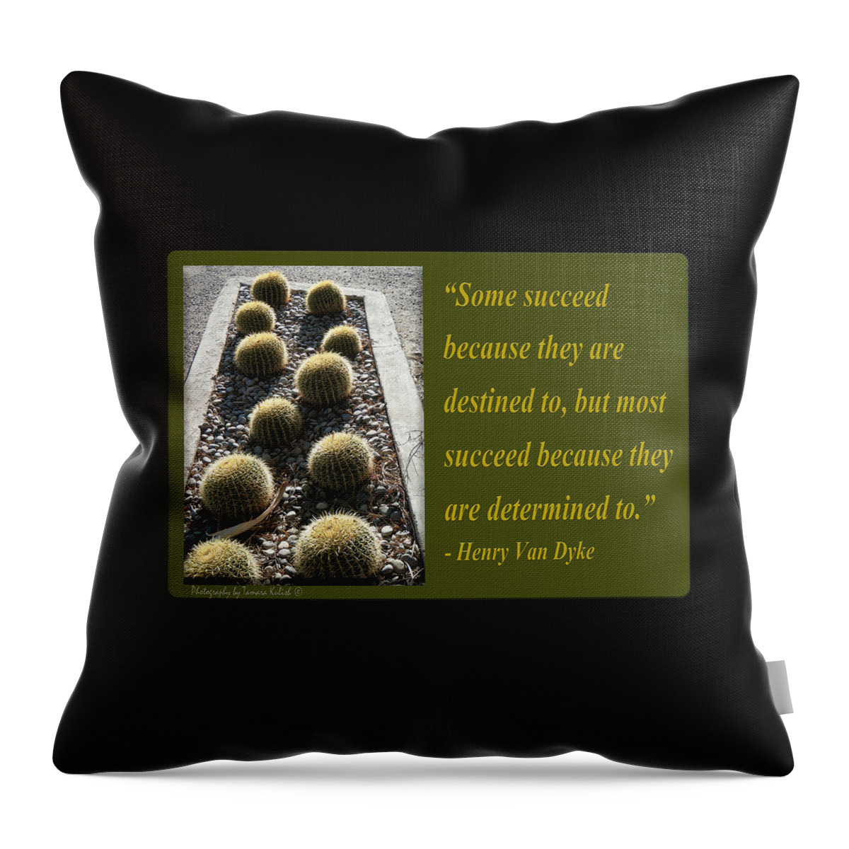 Arizona Throw Pillow featuring the photograph Some succeed because they are destined to by Tamara Kulish