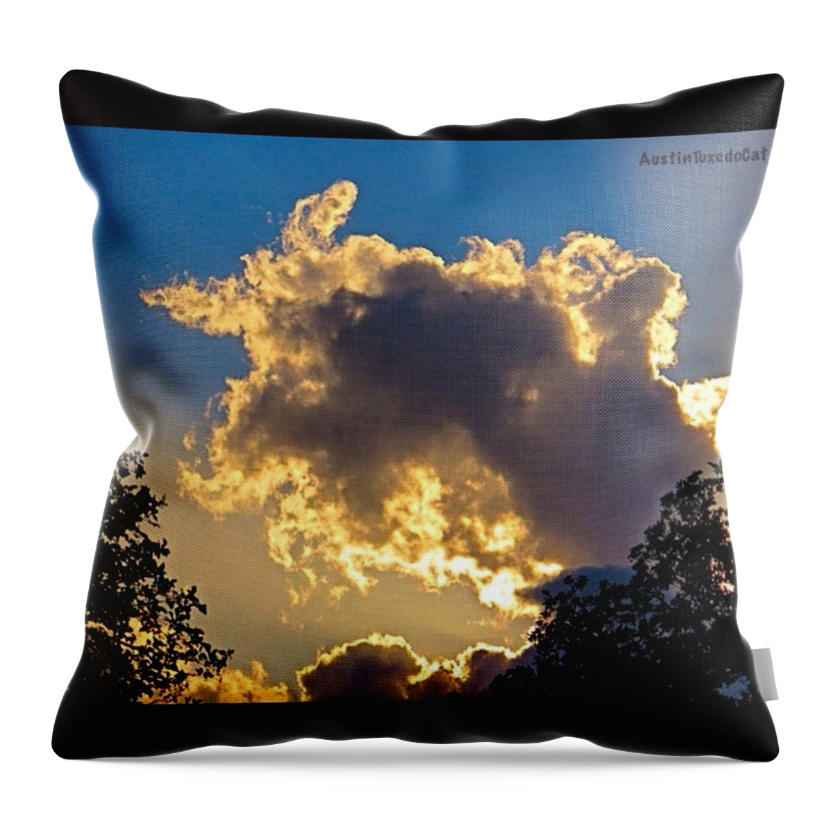 Keepaustinweird Throw Pillow featuring the photograph Someone In #austin Got Lots Of #rain. I by Austin Tuxedo Cat