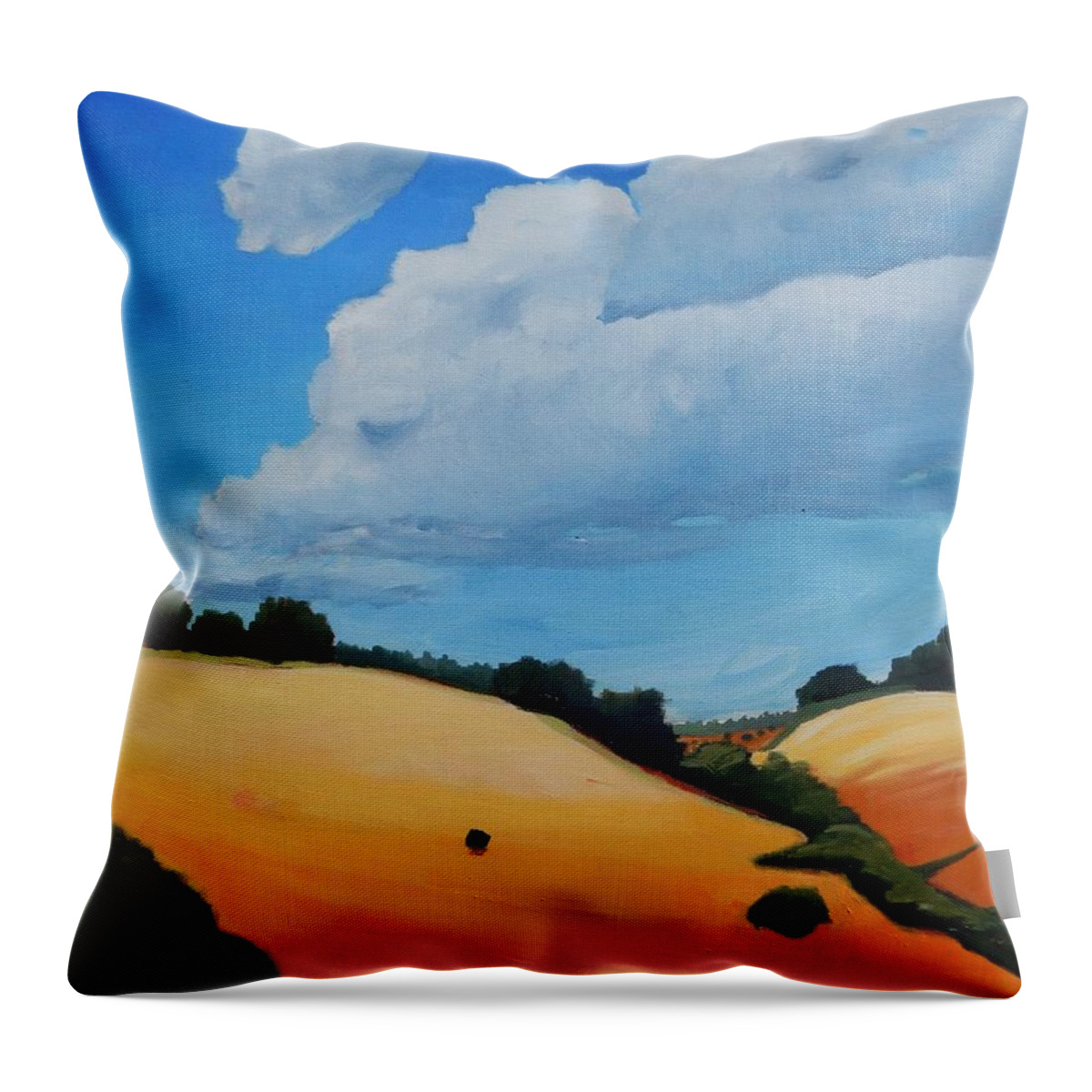 Triptych Throw Pillow featuring the painting Something About Clouds, panel 3 by Gary Coleman