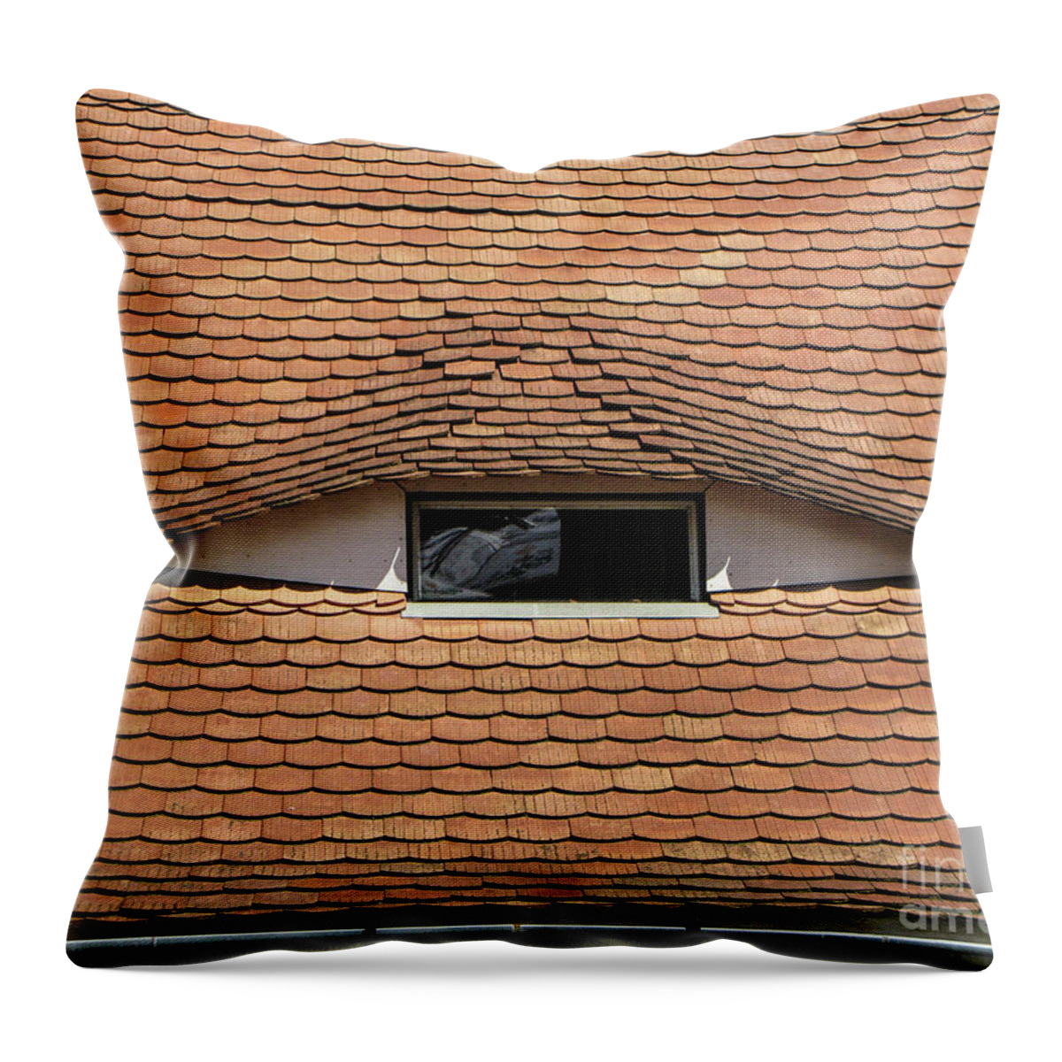Roof Throw Pillow featuring the photograph Something is watching you. by Daliana Pacuraru