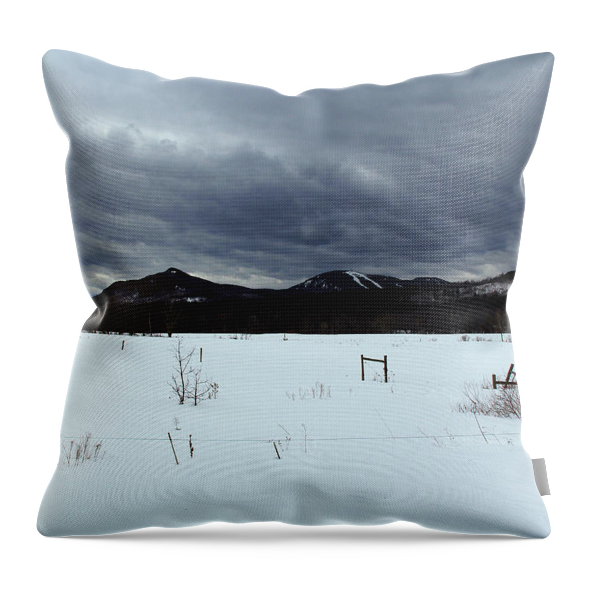 Scenic Throw Pillow featuring the photograph Something Wicked This Way Comes by Becca Wilcox