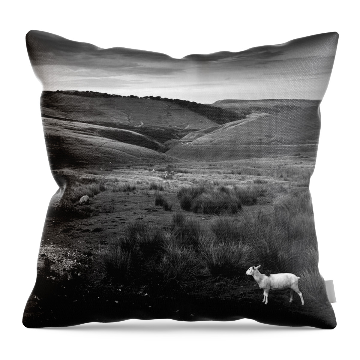 Peak District Throw Pillow featuring the photograph Somewhere by Dorit Fuhg