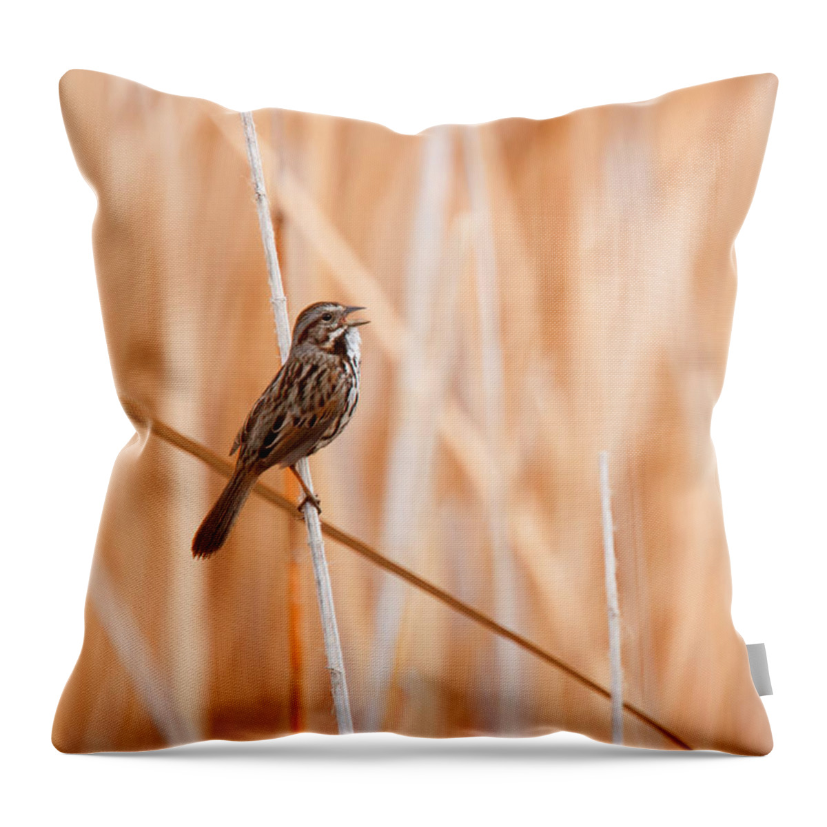Song Sparrow Throw Pillow featuring the photograph Song Sparrow by Ram Vasudev