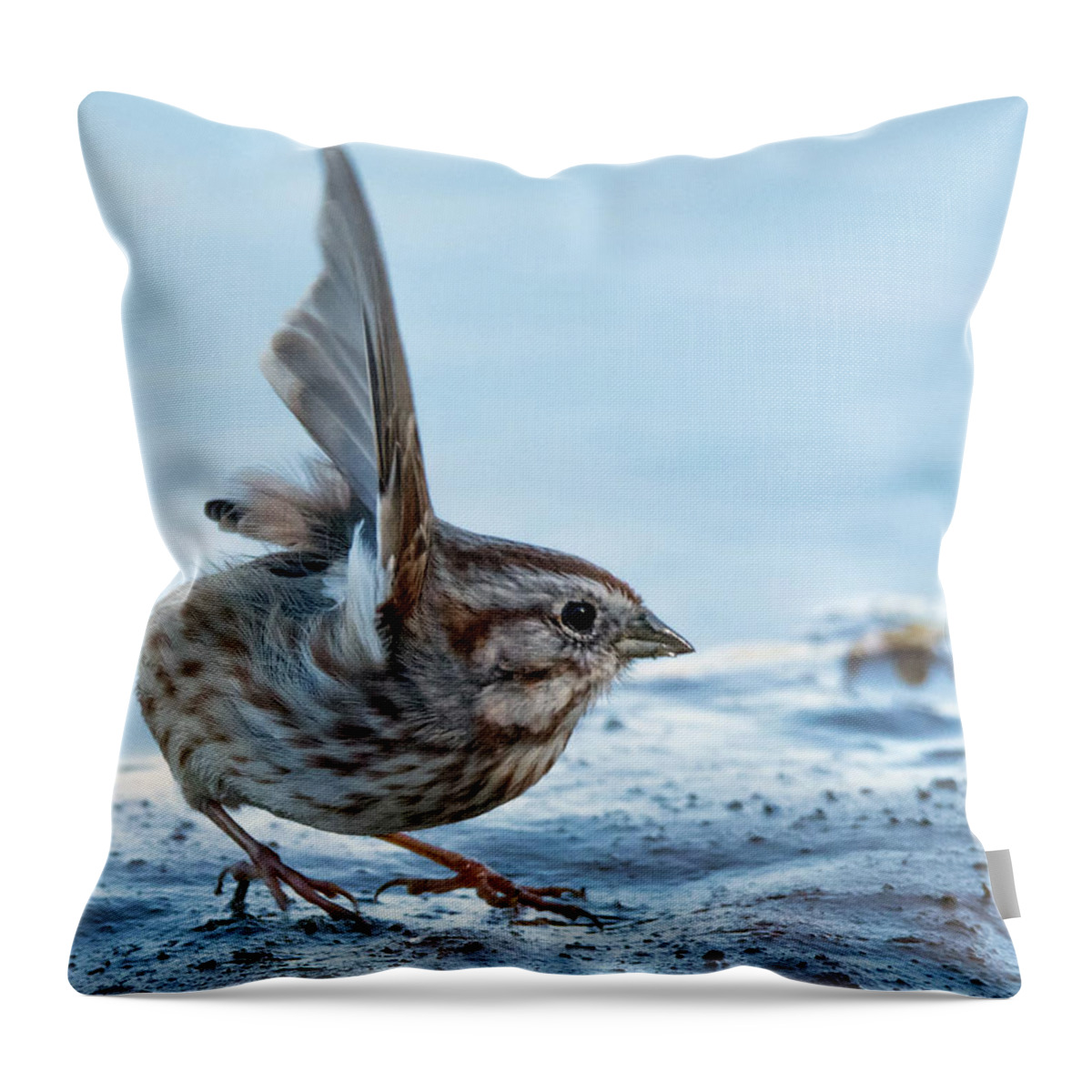 Song Sparrow Throw Pillow featuring the photograph Song Sparrow 3426-112217-1cr by Tam Ryan