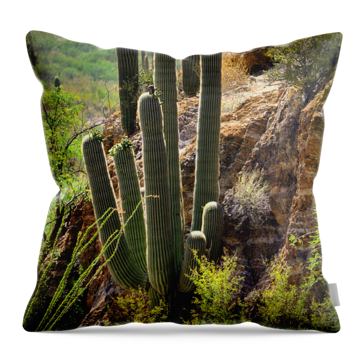 Nature Throw Pillow featuring the photograph Sonoran Desert Dweller by Deb Halloran
