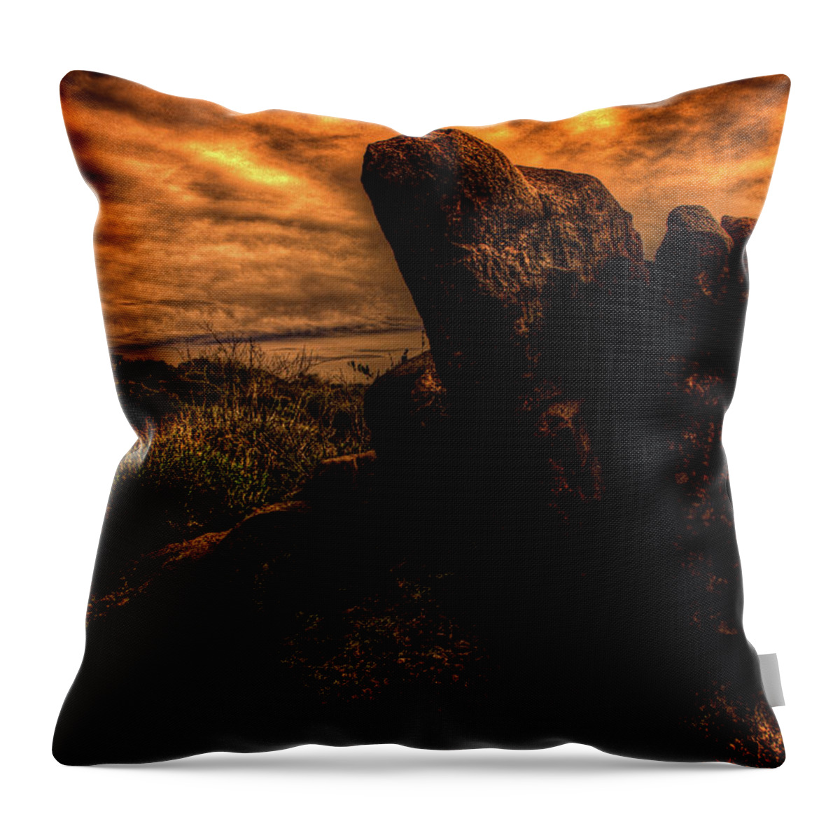 Arizona Throw Pillow featuring the photograph Sonoran Desert Early Morning by Roger Passman