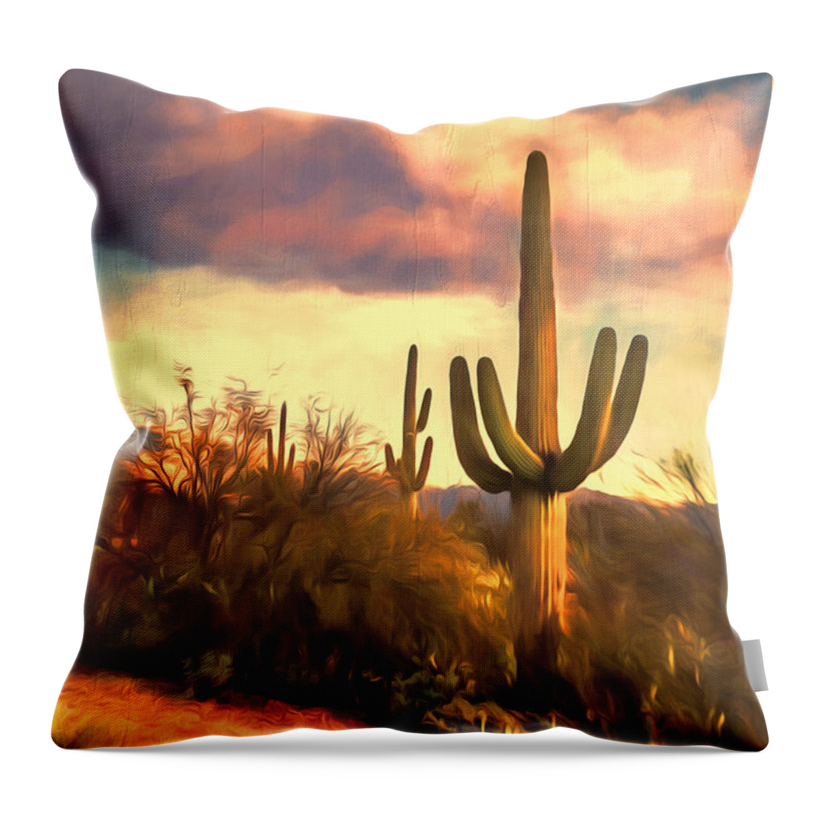 Saguaro National Park Throw Pillow featuring the photograph Sonoran Desert Morn by Susan Rissi Tregoning