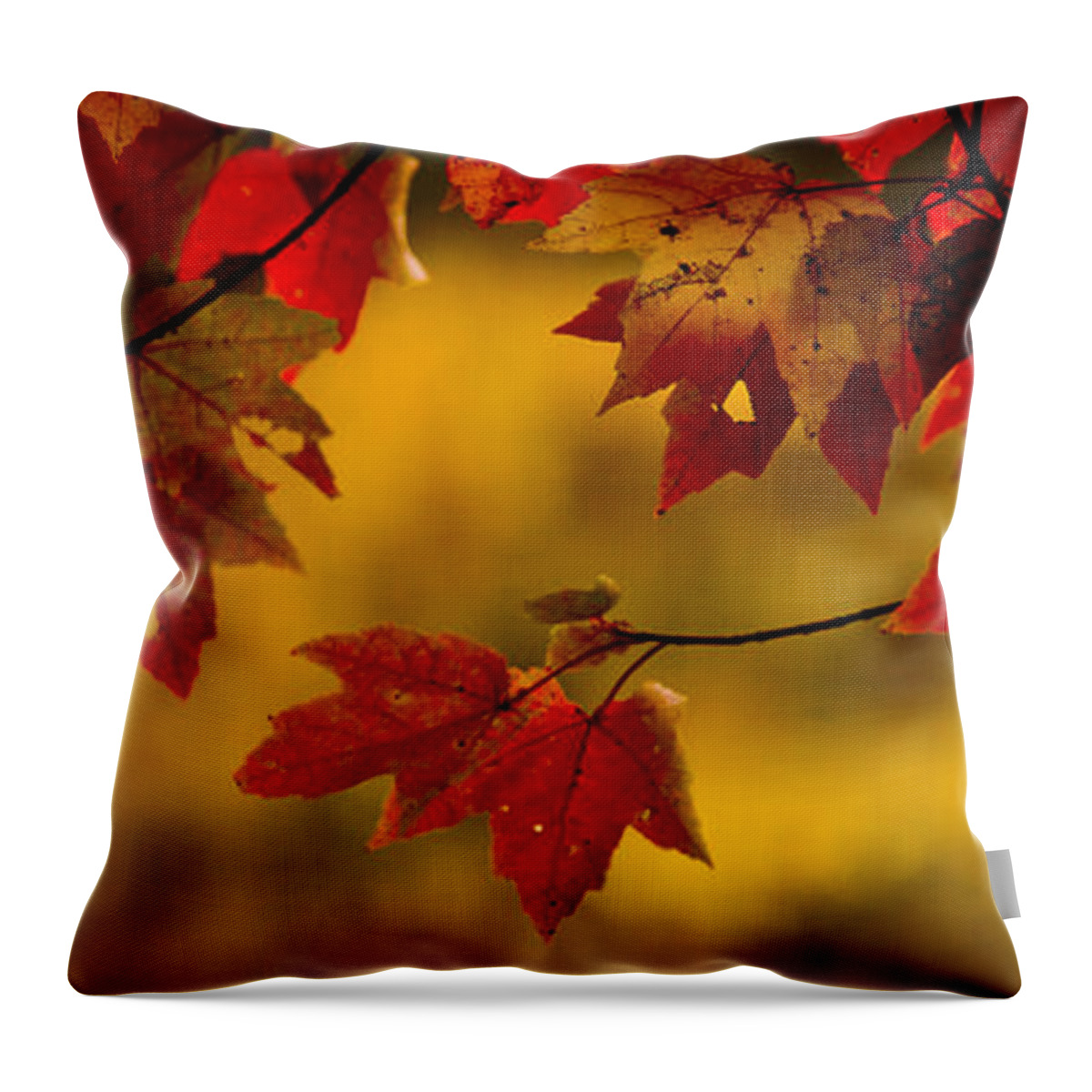 Autumn Color Throw Pillow featuring the photograph Soon Enough by Albert Seger