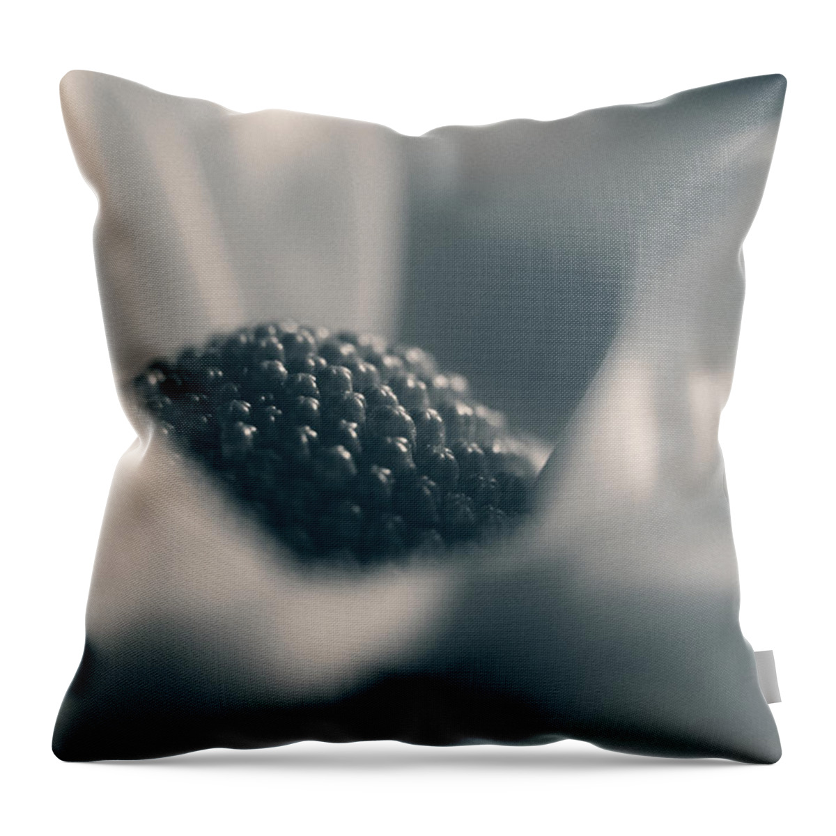 Connie Handscomb Throw Pillow featuring the photograph Sophia by Connie Handscomb