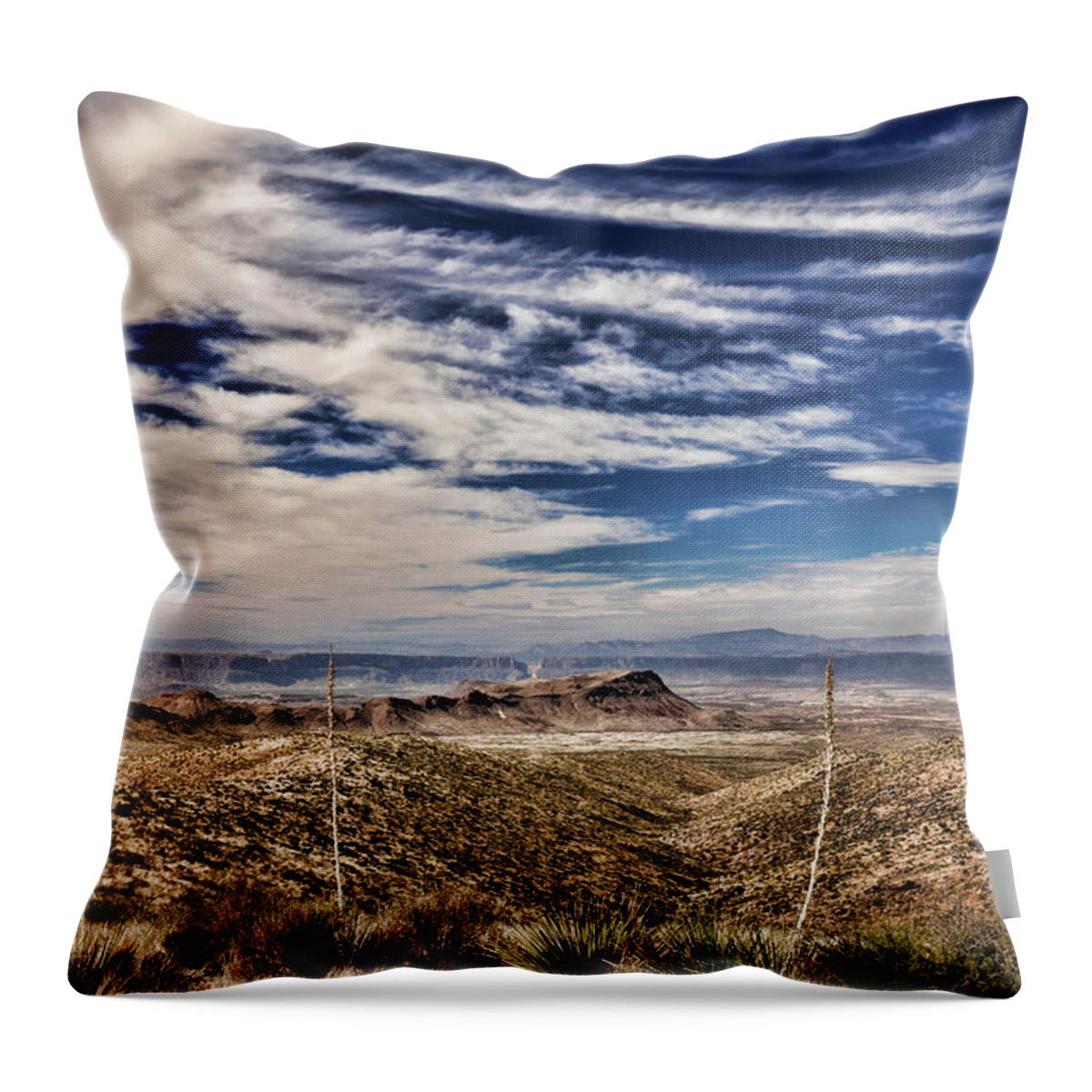 Big Bend Throw Pillow featuring the photograph Sotol Vista 2 by Judy Vincent