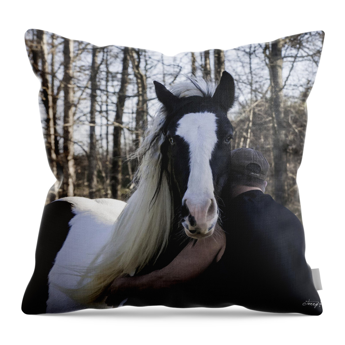 Horse Throw Pillow featuring the photograph Soul Mates by Terry Kirkland Cook