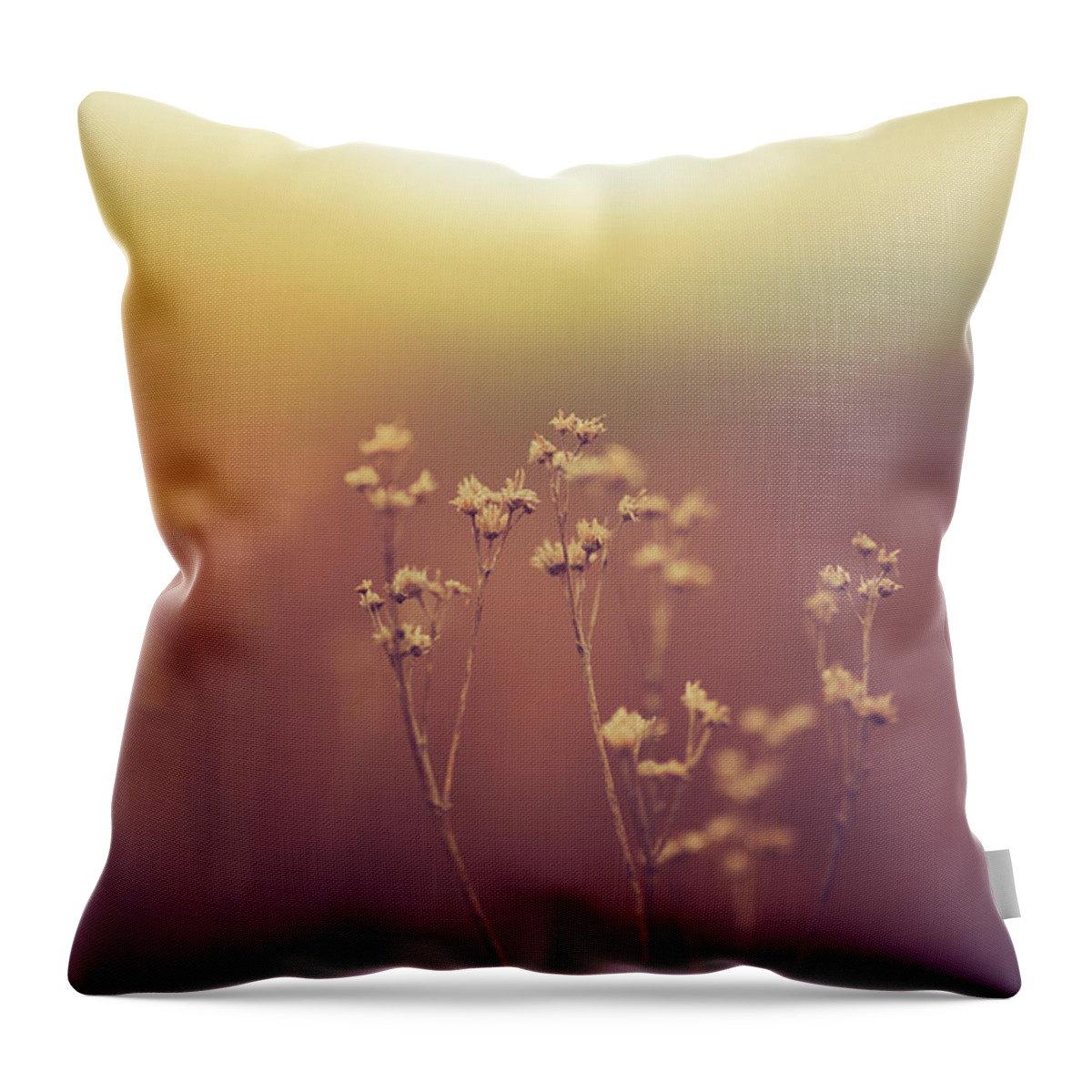  Throw Pillow featuring the photograph Souls Of Glass by Shane Holsclaw