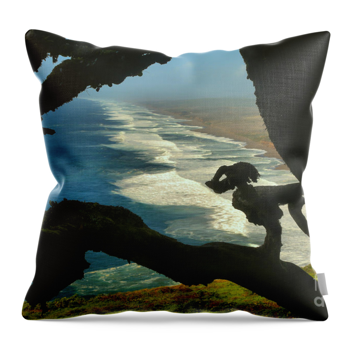 Point Reyes Throw Pillow featuring the photograph South Beach Demon by Adam Jewell