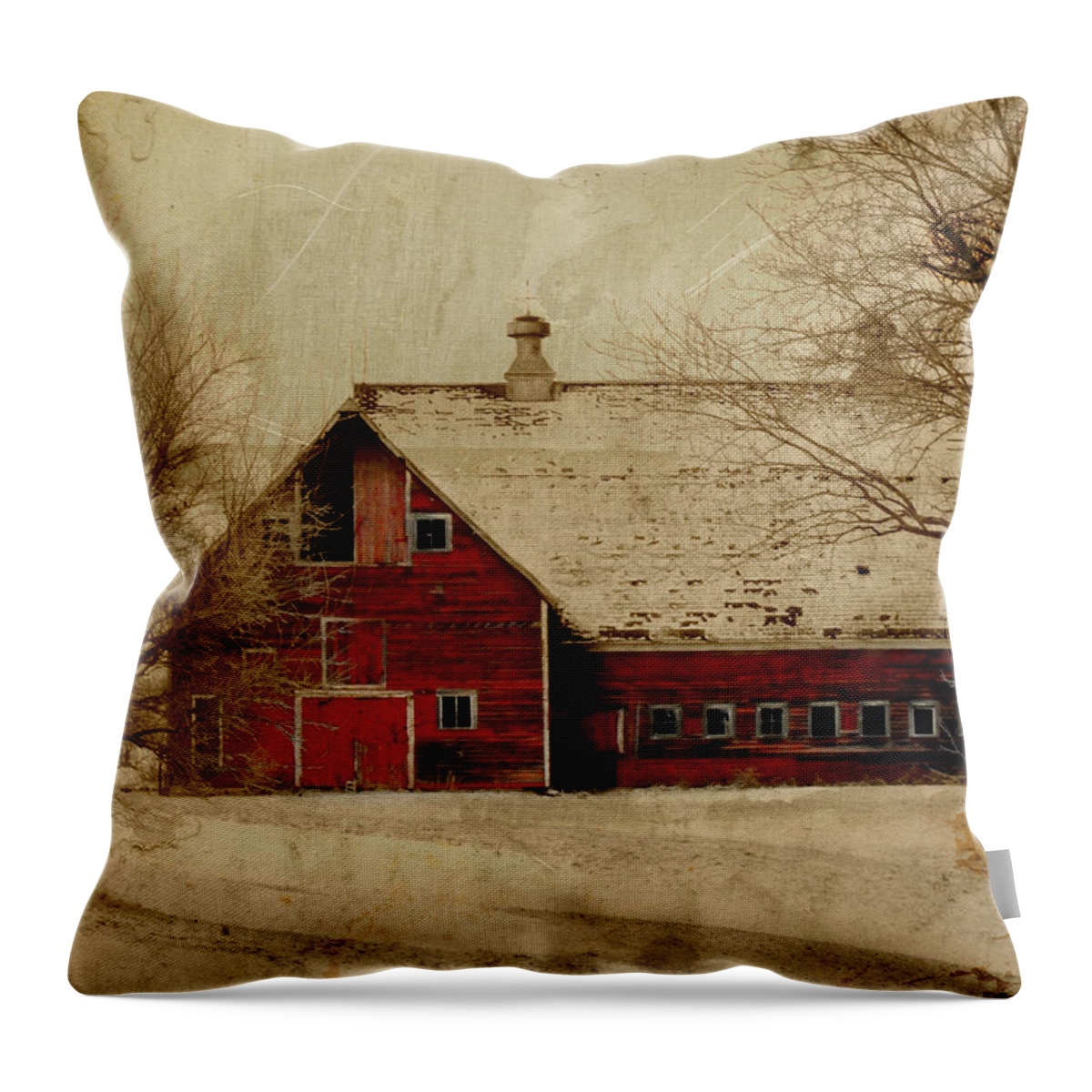 Red Throw Pillow featuring the digital art South Dakota Barn by Julie Hamilton