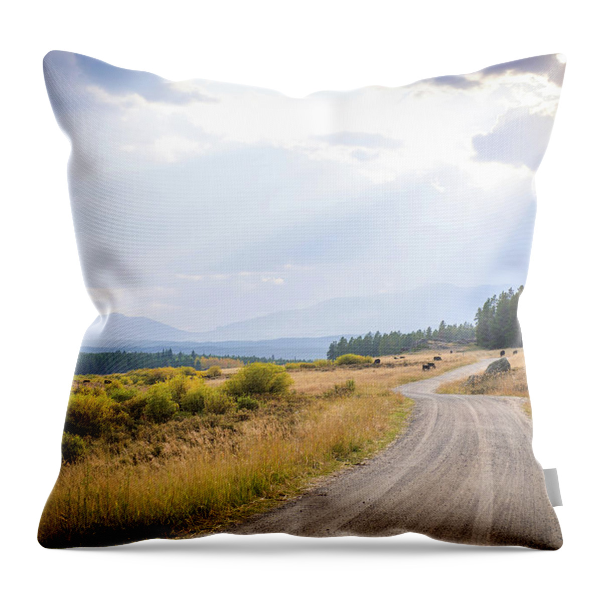Landscape Throw Pillow featuring the photograph South Dakota Black Hills by Aileen Savage