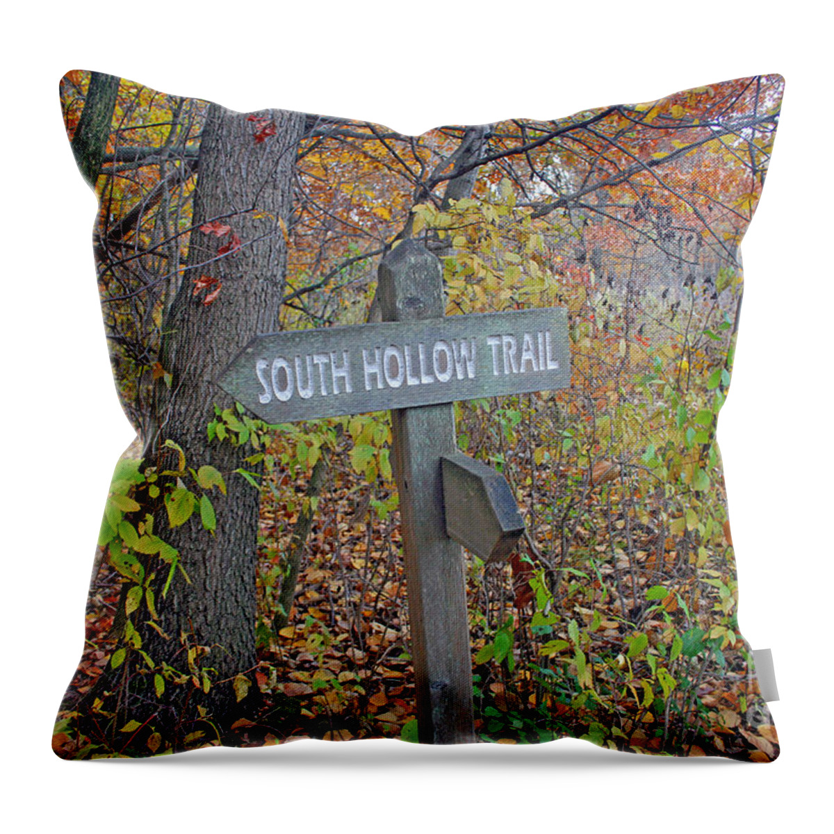 South Hollow Trail Throw Pillow featuring the photograph South Hollow Trail by Kay Novy