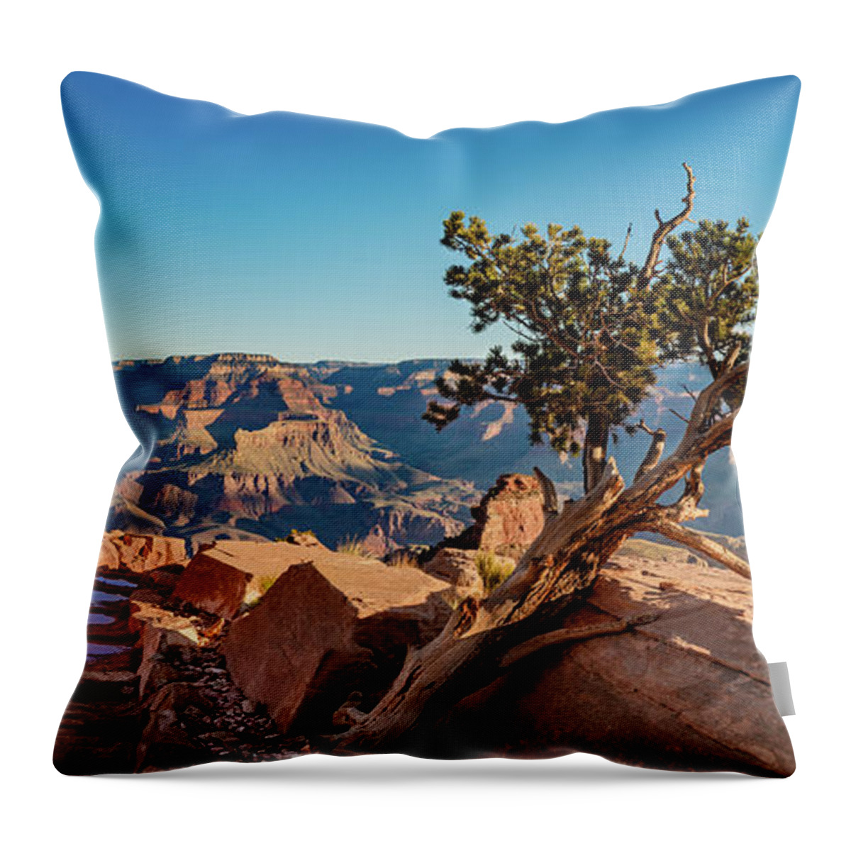 Grand Canyon Throw Pillow featuring the photograph South Kaibab Grand Canyon by Phil Abrams