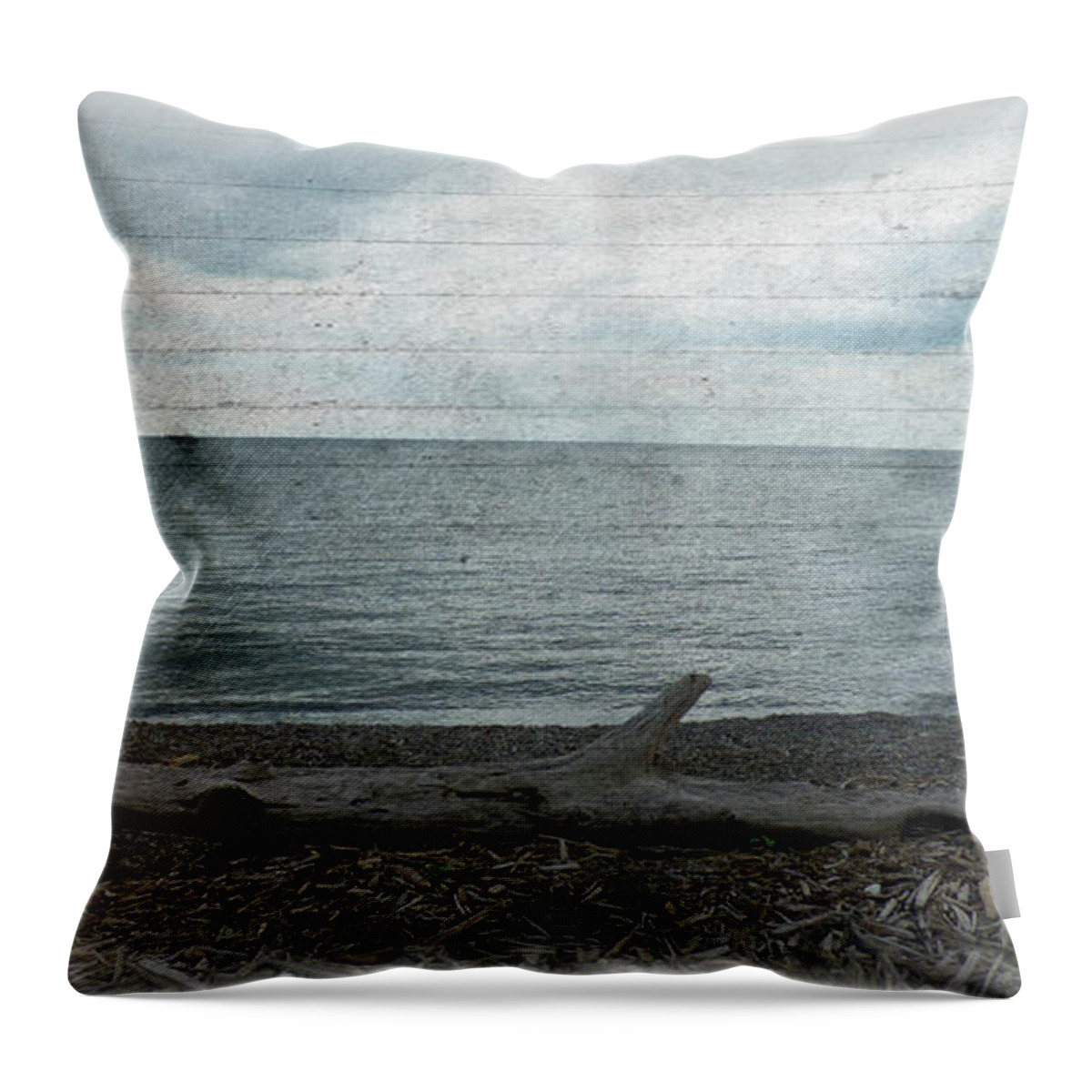 Lake Ontario Throw Pillow featuring the photograph South Shore by Leslie Montgomery