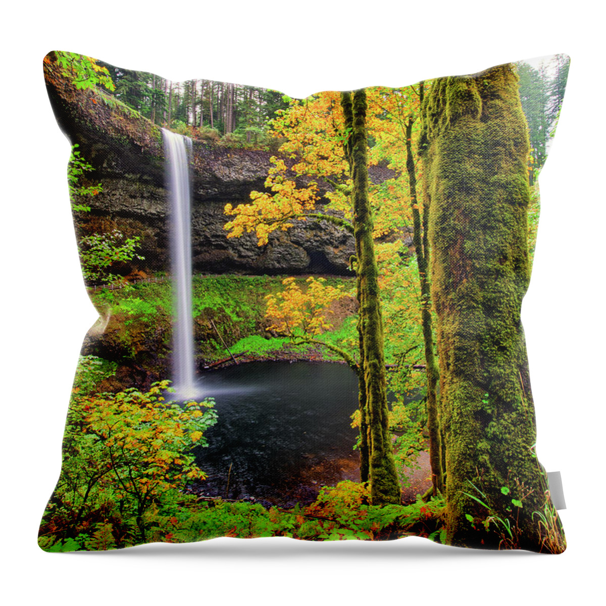 Oregon Throw Pillow featuring the photograph South Silver Falls by Jedediah Hohf