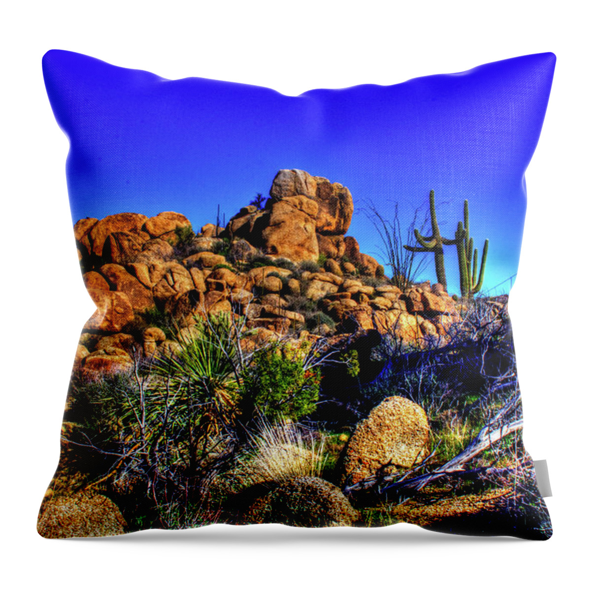 Arizona Throw Pillow featuring the photograph Southbound on US 93 by Roger Passman