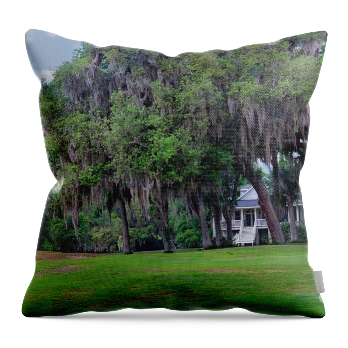 Landscape Throw Pillow featuring the photograph Southern Living Style by Ella Kaye Dickey