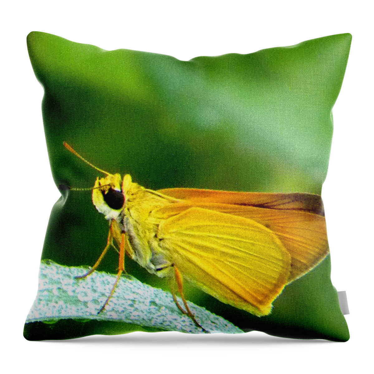 Skipper Butterfly Throw Pillow featuring the photograph Southern Skipperling Butterfly 001 by Christopher Mercer