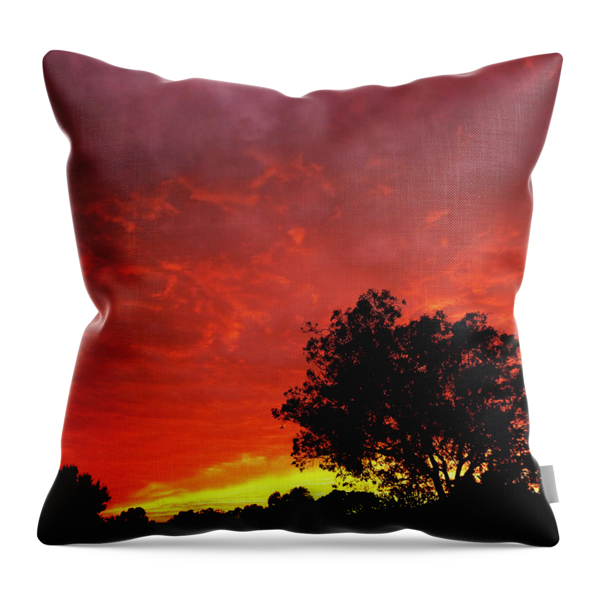 Sunset Throw Pillow featuring the photograph Southern Sunset by Mark Blauhoefer