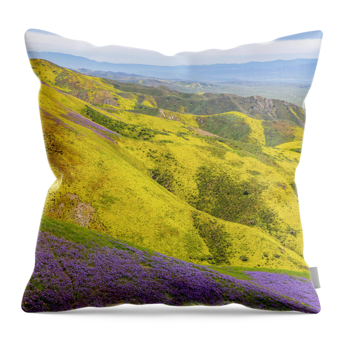 California Throw Pillow featuring the photograph Southern View by Marc Crumpler