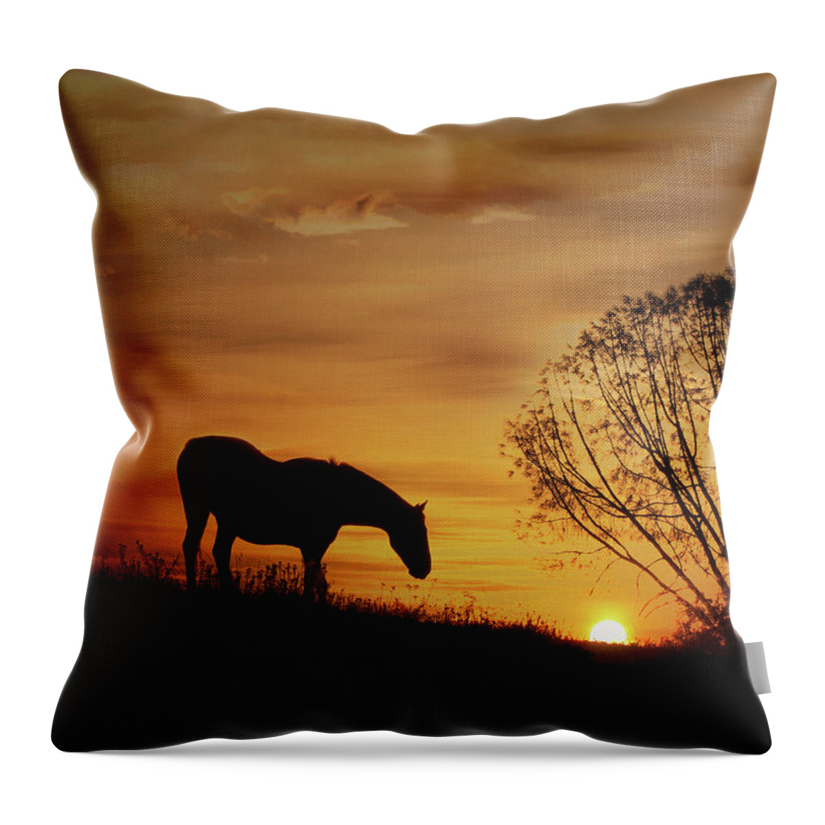 Horse Throw Pillow featuring the photograph Southwestern Horse Sunset by Stephanie Laird