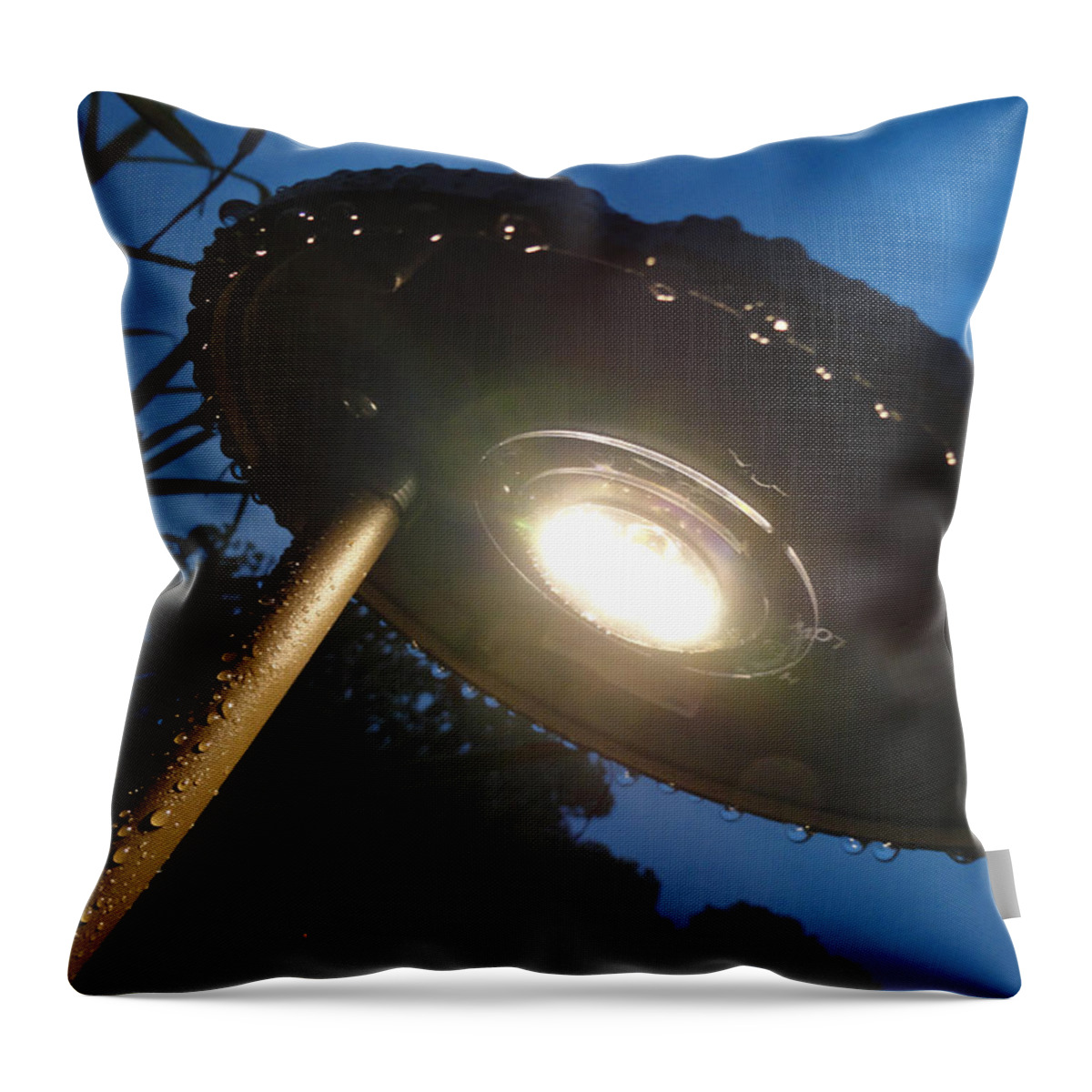 Landscape Light Throw Pillow featuring the photograph Spaceship Landscape Light by Trish Hale