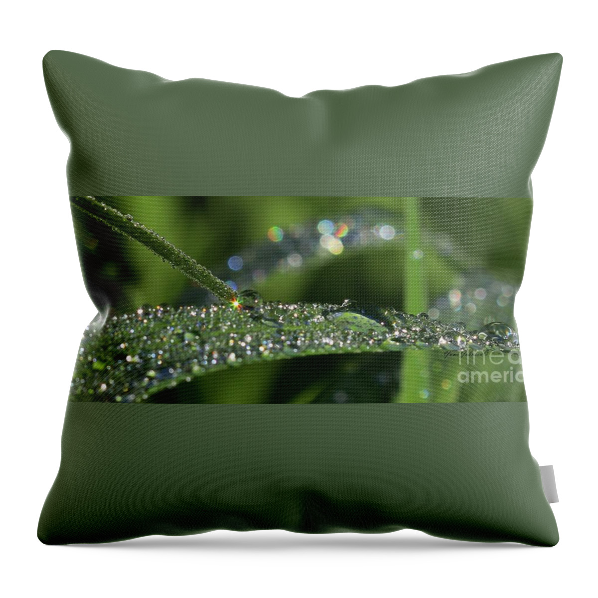 Droplets Throw Pillow featuring the photograph Sparkling droplets by Yumi Johnson