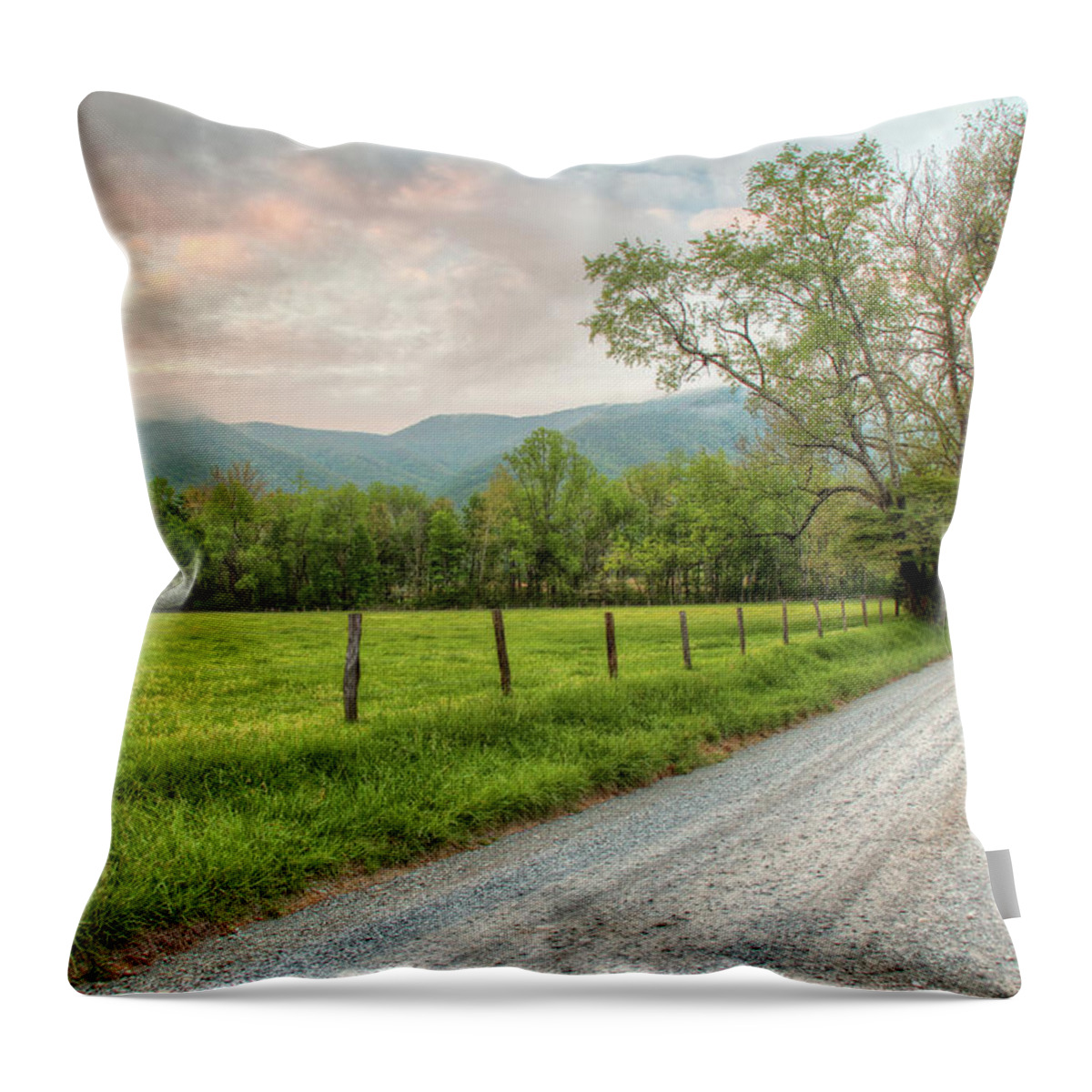 Smoky Mountains Throw Pillow featuring the photograph Sparks Lane Sunrise by Nancy Dunivin