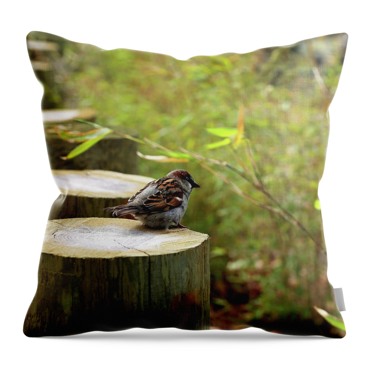 Sparrow Throw Pillow featuring the photograph Sparrow in Spring by Brooke T Ryan